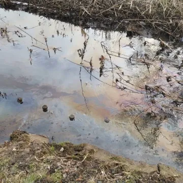 Substancja ropopochodna w rzece Kamionce