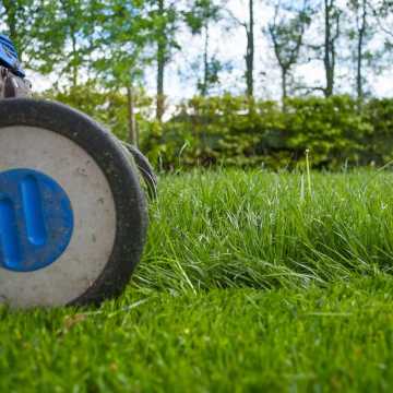 Jak działa wertykulator do trawy elektryczny? Dlaczego potrzebujesz go w swoim ogrodzie?
