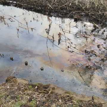 Substancja ropopochodna w rzece Kamionce