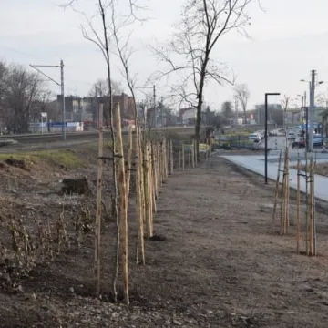 Rewitalizacja parku przy ul. Sierakowskiego na ukończeniu