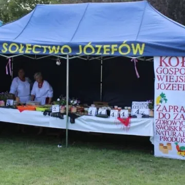 Piknik Ekologiczny w Parku Solidarności w Radomsku