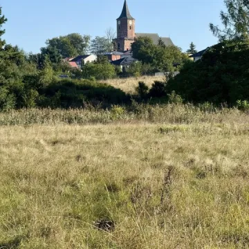 Wielkie sprzątanie w Przedborzu. Pilica odzyskała blask