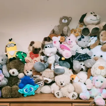 Pluszaki dla potrzebujących od kibiców