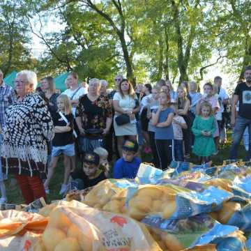 Święto Ziemniaka w Dmeninie. Wybierano największą bulwę