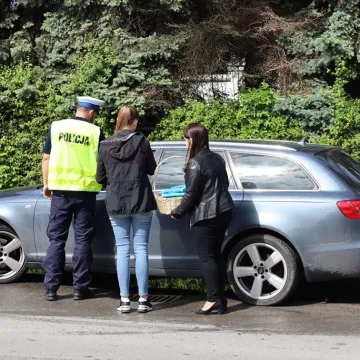 Dzień bez alkoholu. Profilaktyczna akcja w Radomsku
