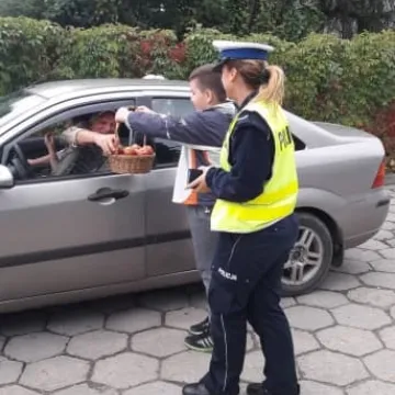 Kwaśny smak wykroczeń 