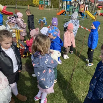 Zajączek ukrył się w PP nr 5 w Radomsku. Dzieci ruszyły na poszukiwania