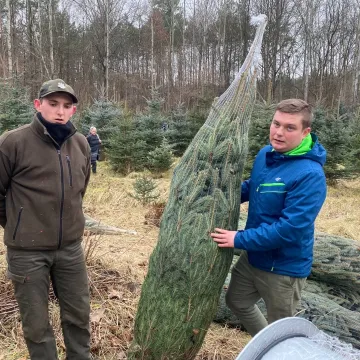 Nadleśnictwo Radomsko zaprasza na „choinkobranie”