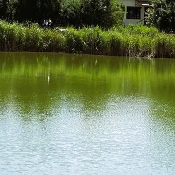 Dwa stawy w Strzałkowie przejdą renowację. Będzie estetycznie i funkcjonalnie