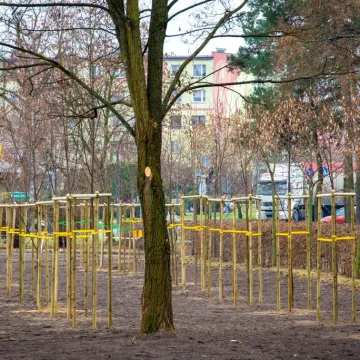 Bełchatów: Park 1000-lecia w nowej odsłonie