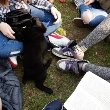 Z pomocą dla zwierząt ze schroniska