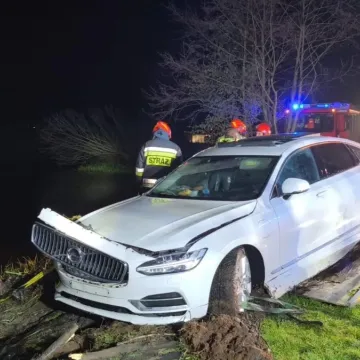 [WIDEO] Chciał ominąć zwierzę. Samochód wylądował w rzece