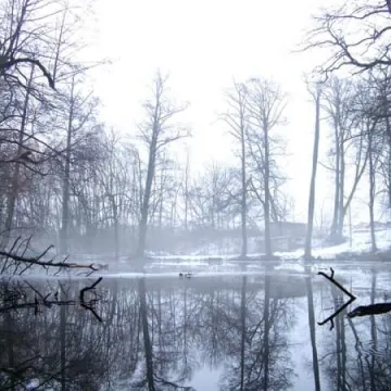 Plener fundacji FotoPozytyw