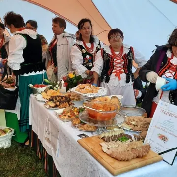 Piknik rodzinny województwa łódzkiego w Wielgomłynach