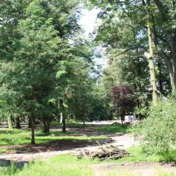 Postęp prac rewaloryzacyjnych w parku Świętojańskim [zdjęcia i film]