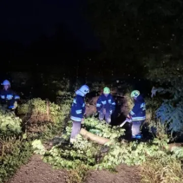 Nawałnica przeszła przez region. Powalone drzewa, uszkodzone dachy