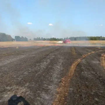 Spłonęło 5 hektarów ścierniska