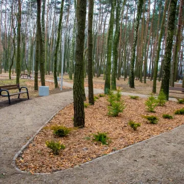 Bełchatów: Park 1000-lecia w nowej odsłonie