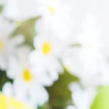 Życzenia z okazji Świąt Wielkanocnych od samorządów i miejskich spółek