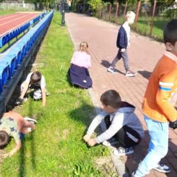 Sprzątanie Świata: edukacja i zabawa w szkołach Gminy Radomsko