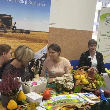 Kulinarna bitwa KGW w Dobryszycach