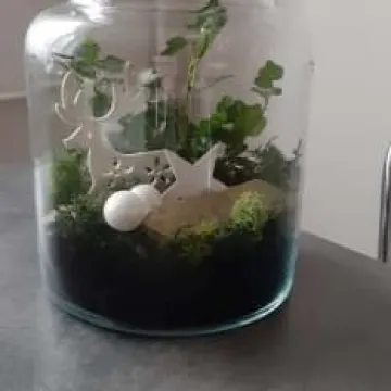 WOŚP 2020: Gomunice nabierają wiatru w żagle