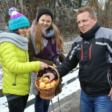 Cytryna zamiast mandatu