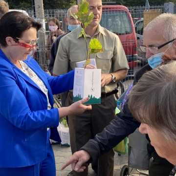 Poseł Anna Milczanowska rozdawała sadzonki z autografem pary prezydenckiej