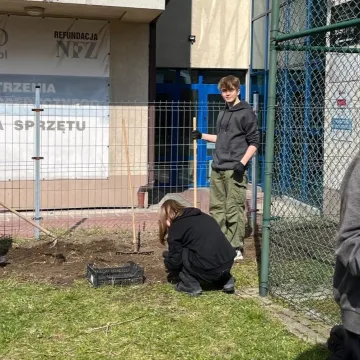 Przy „ekonomiku” w Radomsku powstaje ogród kieszonkowy