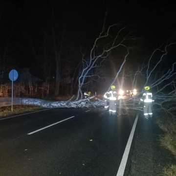 Drzewo runęło na drogę w Michałowie. Strażacy usuwali przeszkodę