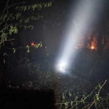 Nocny pożar lasu na Bobrach w trudno dostępnym terenie