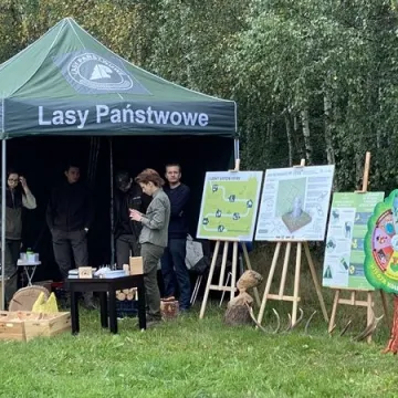 Bieg Stolarza 2021 w Radomsku