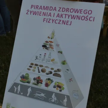 II Radomszczański Różowy Piknik