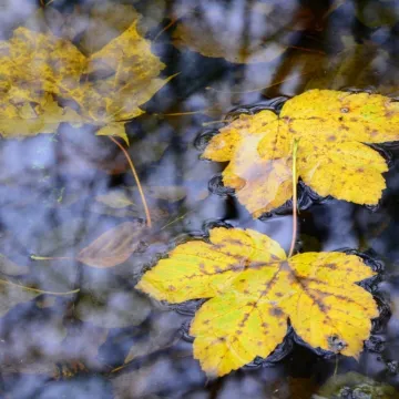 Pałac i natura w obiektywie