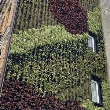 Ogrody wertykalne w Radomsku oficjalnie oddane do użytku