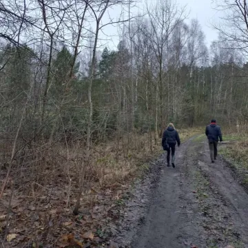 Wielkie „Choinkobranie” w Radomsku