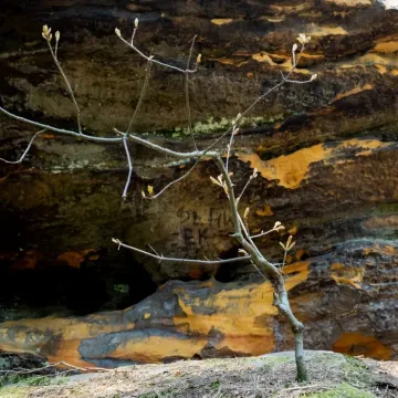 OtwARTa foto-wyprawa do „Piekła”