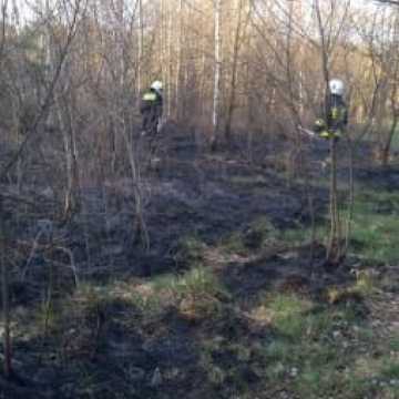 Bogusławów - pożar lasu i traw
