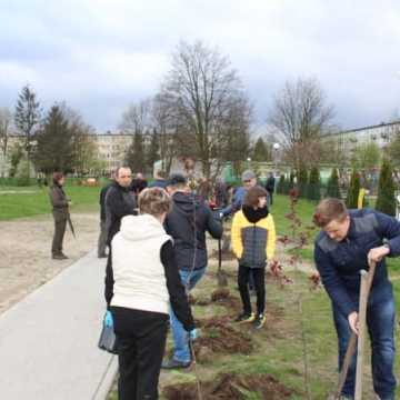 Samorządowcy z Platformy Dialogu sadzili drzewa