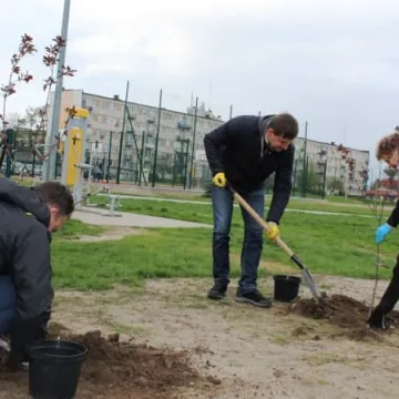 Samorządowcy z Platformy Dialogu sadzili drzewa