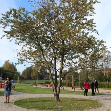 Otwarcie parku na Wymysłówku