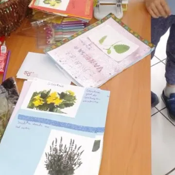 Projekt „Z poradnika młodego zielarza” rozpoczęty