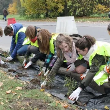 Róże na urodziny Radomska