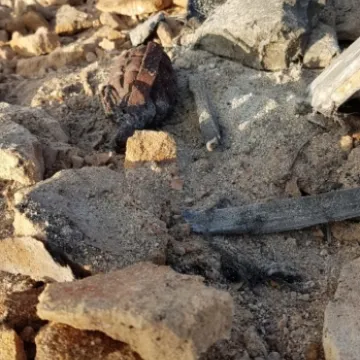 Mieszkaniec Przedborza znalazł dwa granaty