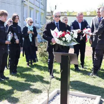 W ZSP nr 1 w Radomsku odsłonięto Dąb Pamięci