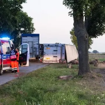Śmiertelny wypadek na drodze za Przedborzem
