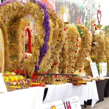 Dożynki Województwa Łódzkiego w Radomsku