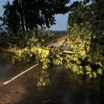 Nawałnica przeszła przez region. Powalone drzewa, uszkodzone dachy