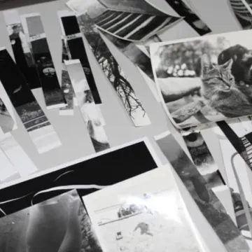 Grafika i Fotografia w MDK