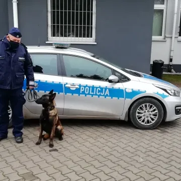Nowy pies policyjny w szeregach radomszczańskiej komendy